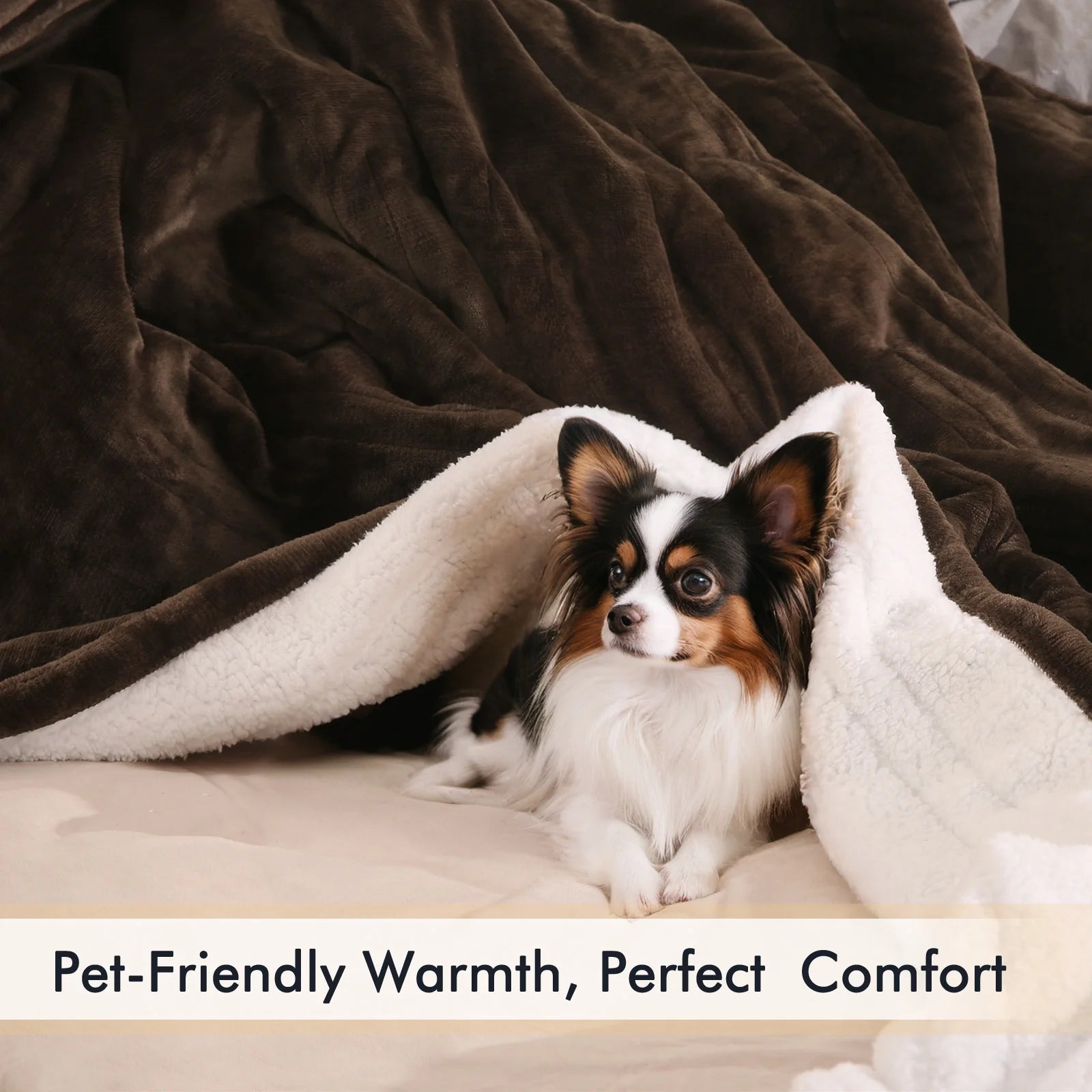 Electric Heated Blanket Queen Size 84''X90'', Fast Heating with Dual Controllers, 10 Heating Levels, 10H Timers, Preheat Function - Brown