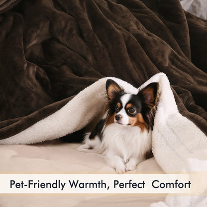 Electric Heated Blanket Queen Size 84''X90'', Fast Heating with Dual Controllers, 10 Heating Levels, 10H Timers, Preheat Function - Brown